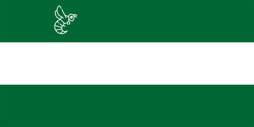 Avispa asiática Andalucía