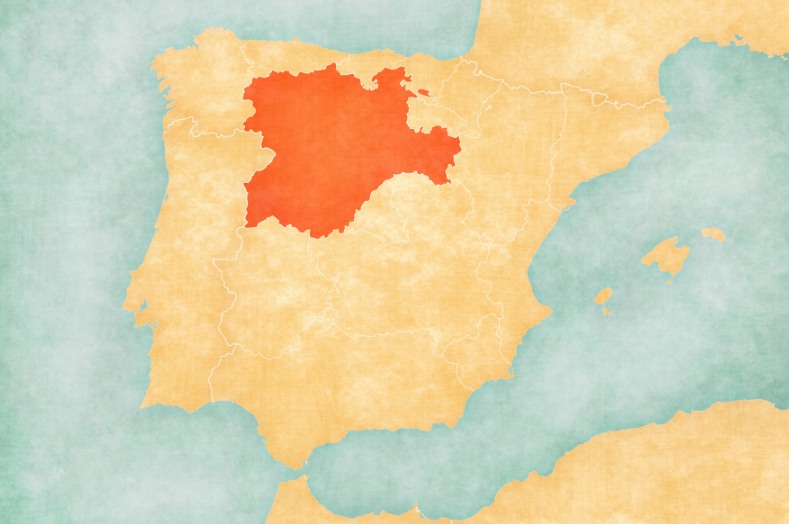 Mapa de Castilla y Leon avispas asiáticas